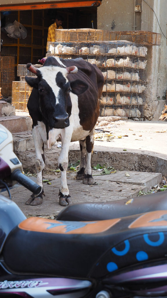 India_Devaraja-Market